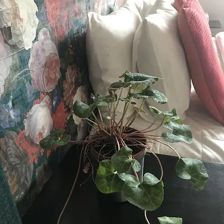住宿加早餐酒店 Apartament Mood Mdm 华沙
